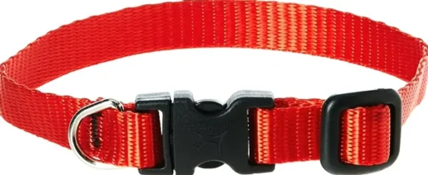 LupinePet Flexible Dog Collar for Small Dogs