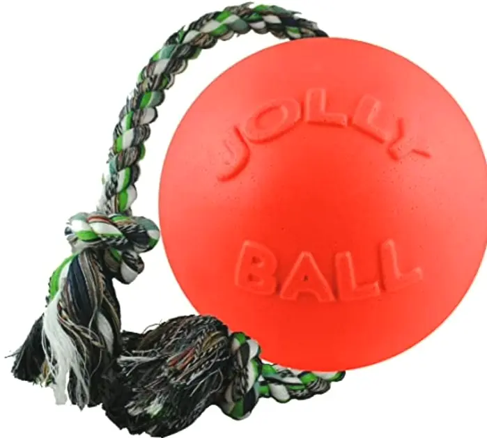 Jolly Pets Romp-n-Roll, Orange, 6"