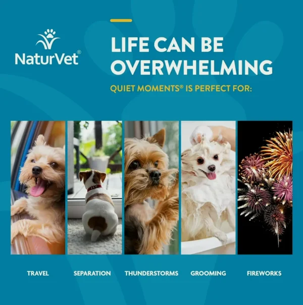 NaturVet Quiet Moments Dog Aid - 70 Soft Chews