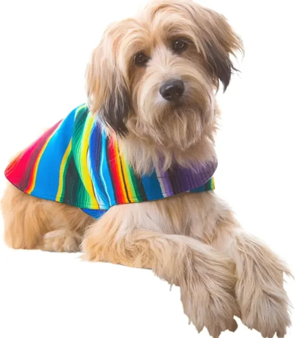 Custom Pet Poncho from Mexican Serape