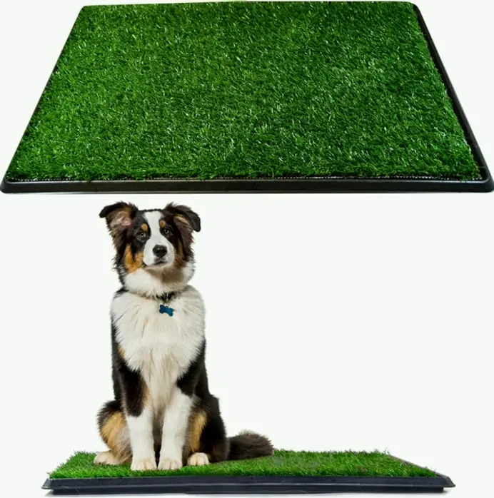 Pet Grass Pad with Holder, Outdoor Potty System