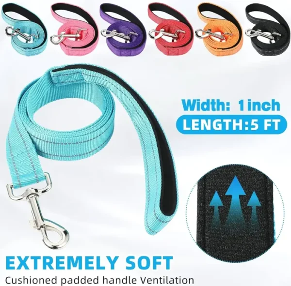 Reflective Dog Leash and Harness Combo for All Sizes