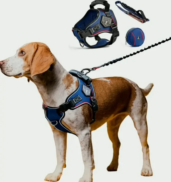 Mid-size Dog Harness with Lead, Reflective and Anti-Pull Design