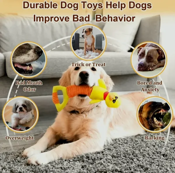 Large Squeaky Dog Playthings for Small, Medium, Large Canines