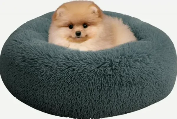 Comforting Dog Bed for Small Dogs and Cats, Removable Round Cat Cushion