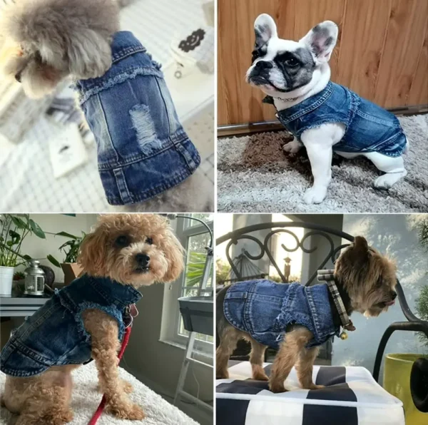 Cute Pet Denim Coat for Small Pets