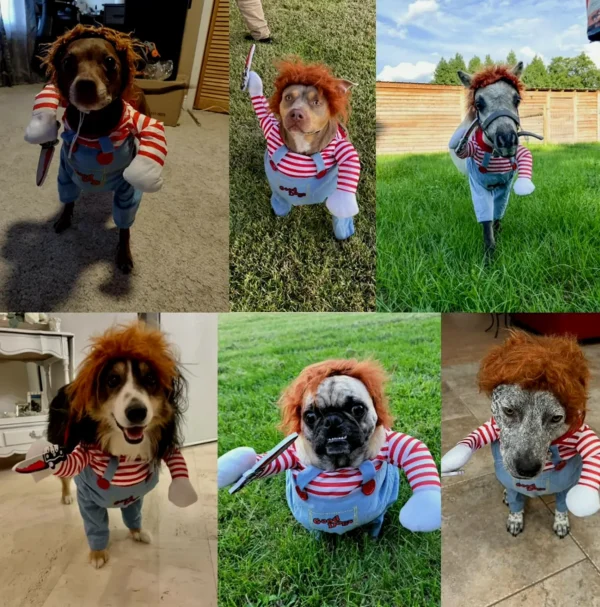 Dog Scary Halloween Costume - Adjustable for Small, Medium, & Big Dogs