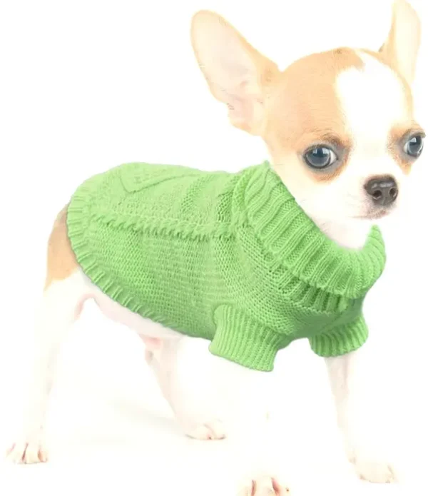 Cute Clothes for Small Dogs Set