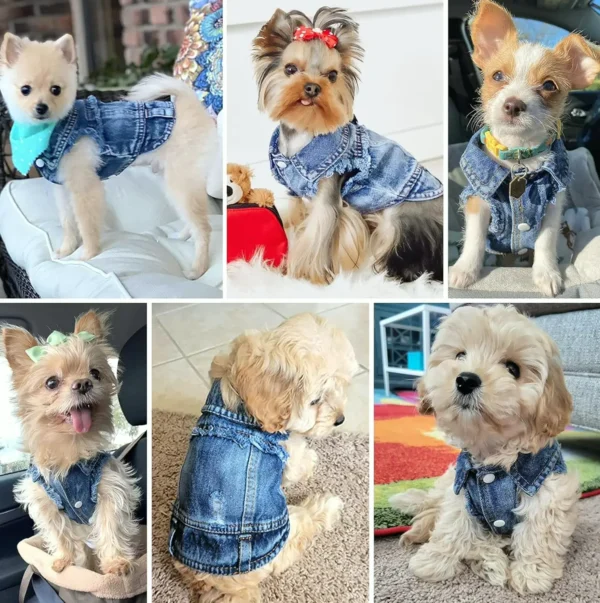 Pet Jean Vest for Small Dogs or Cats