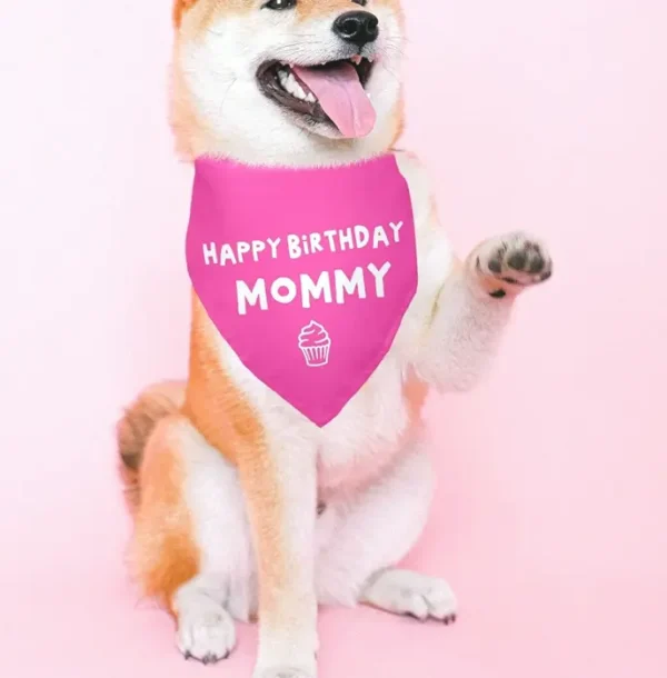 Joyful Bday Mommy Red Pet Scarf Accessories