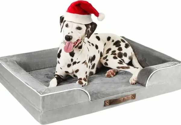 Comfortable Dog Bed for Large Dogs with Memory Foam