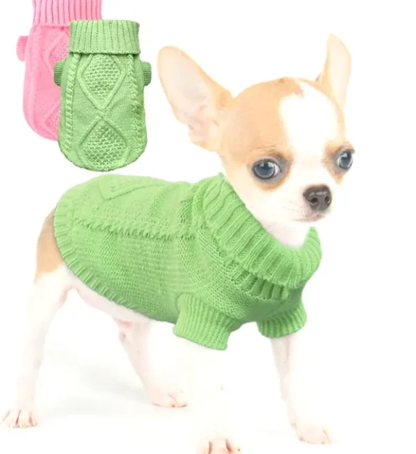 Cute Clothes for Small Dogs Set