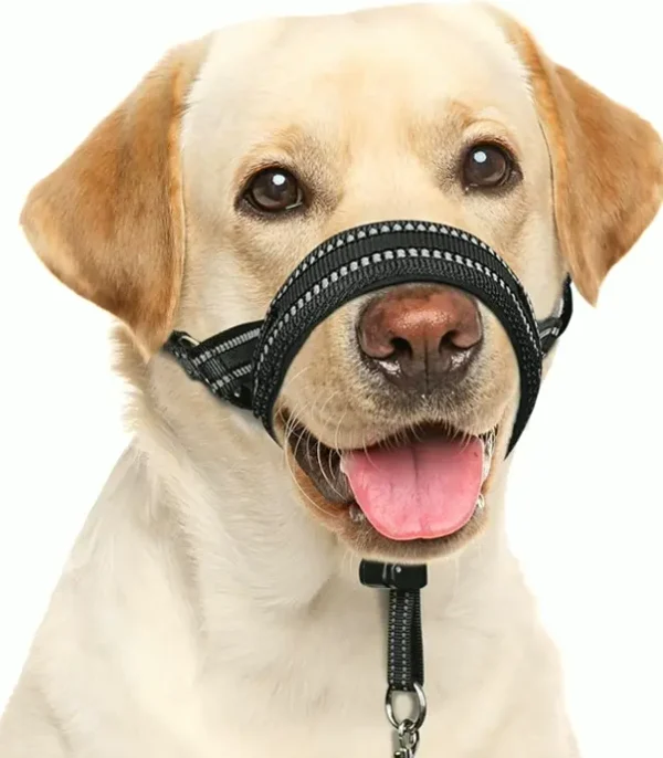 Comfortable Pet Nose Halter - Padded Anti-Pull Model