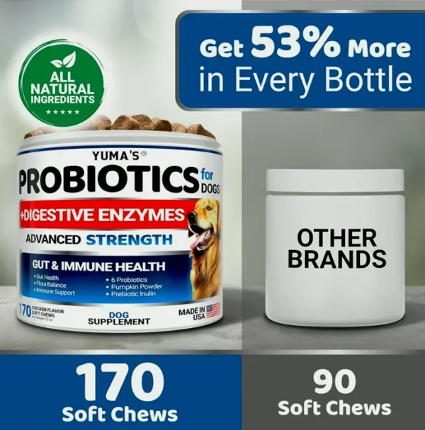 Canine Probiotics & Enzymes - 170 Treats