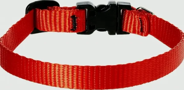 LupinePet Flexible Dog Collar for Small Dogs