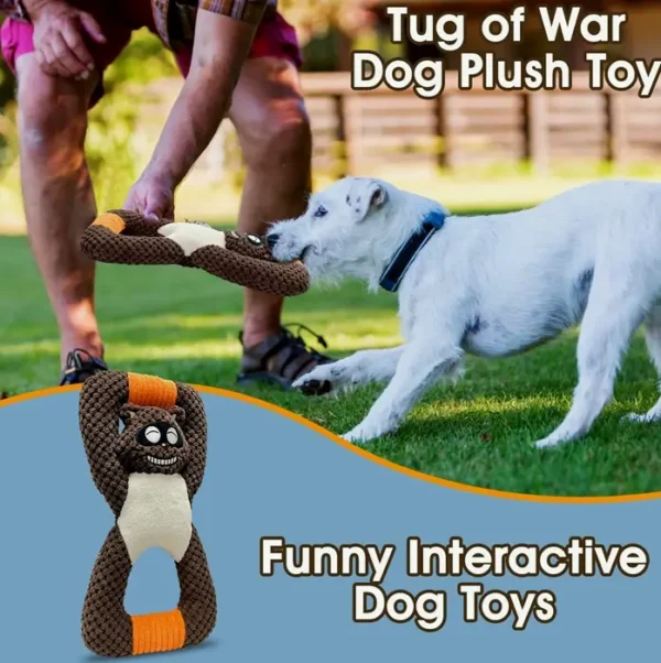 Tug of War Dog Playthings for Tiny Pups (Raccoon)