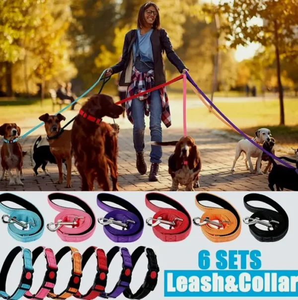 Reflective Dog Leash and Harness Combo for All Sizes