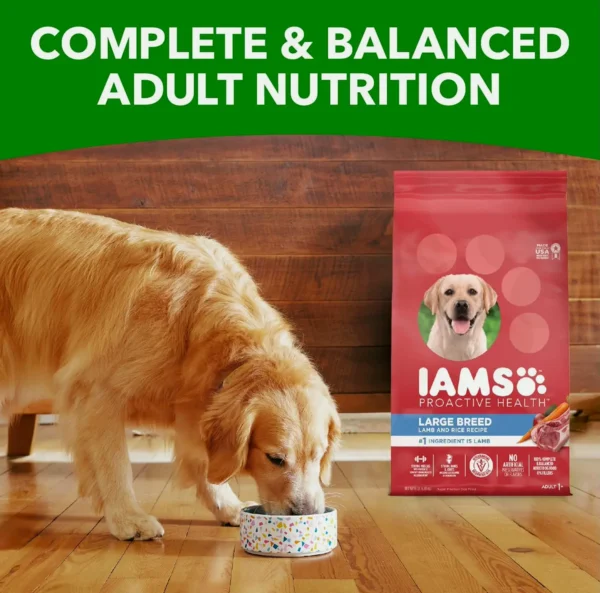 Preventive Wellness Big Breed Adult Dry Pet Food Lamb & Rice 30 Pound Pack