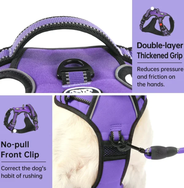 Anti-Pull Pet Vest with Leash - Small Dogs