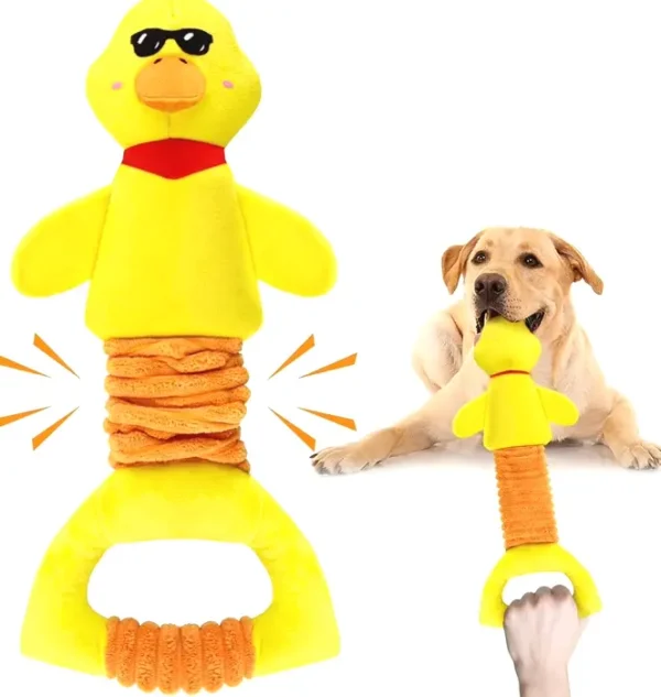 Large Squeaky Dog Playthings for Small, Medium, Large Canines