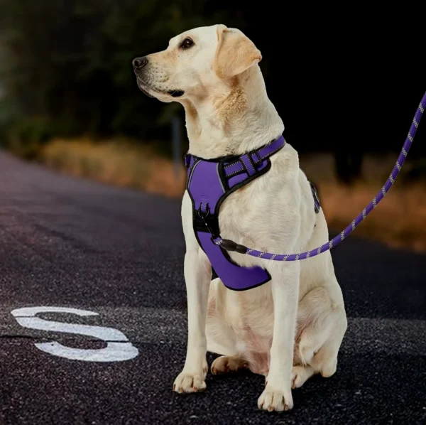 Anti-Pull Pet Vest with Leash - Small Dogs