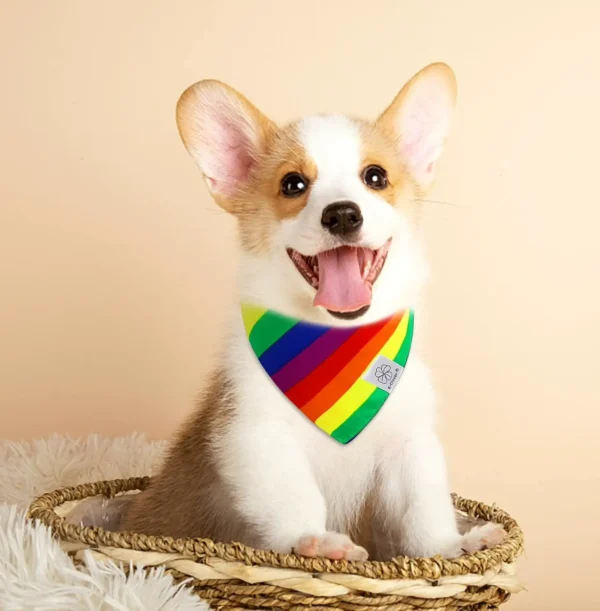 EClover Rainbow Dog Bandanas & Matching Scrunchie Set