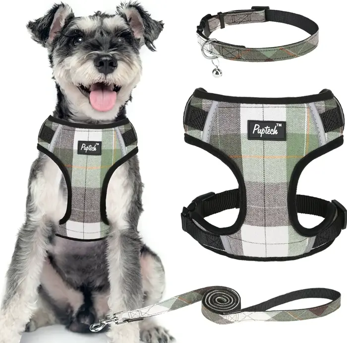 PUPTECK Dog Harness and Lead Set for Small Dogs & Cats