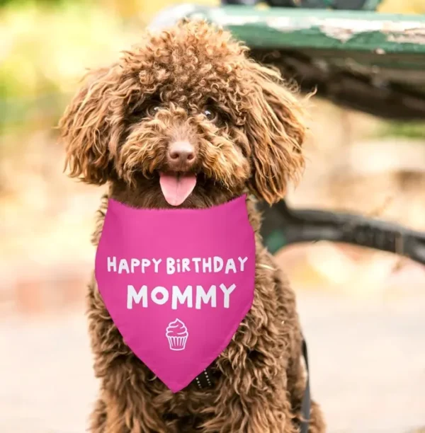 Joyful Bday Mommy Red Pet Scarf Accessories