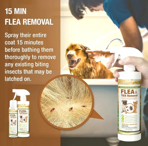 EcoVenger Flea Spray for Dogs and Cats, 16 oz