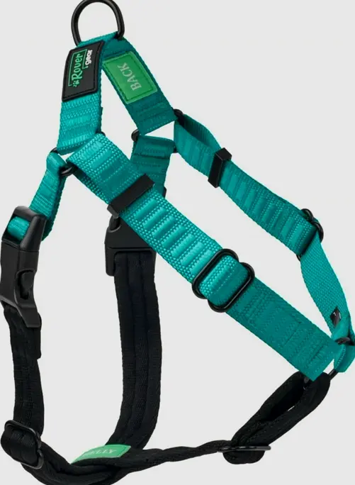 Better Stroll No-Pull Canine Strap, Teal, Small – Stay in Charge, Adjustable, Comfortable, Effortless Wear, Sturdy