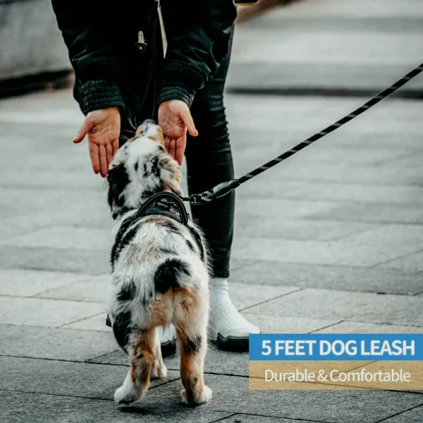 Reflective Pet Leash featuring Padded Grip - Brand