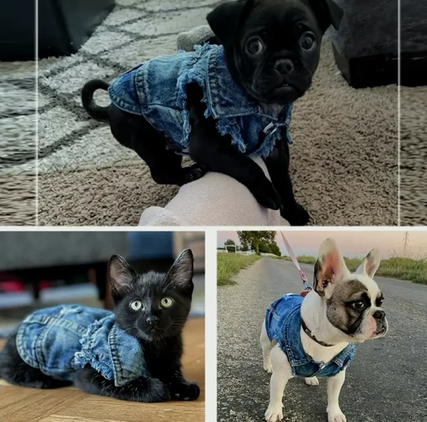 Cute Pet Denim Coat for Small Pets