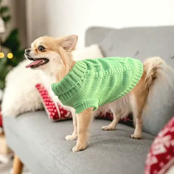 Cute Clothes for Small Dogs Set