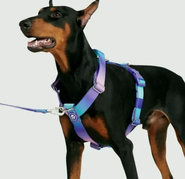 No-Pull Dog Harness - Safety and Control Style - Large Breeds