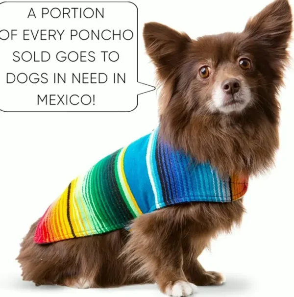 Custom Pet Poncho from Mexican Serape