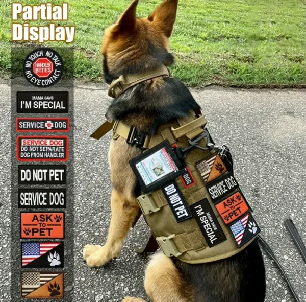 13-Piece Dog Hook Loop Patches Harness Patch