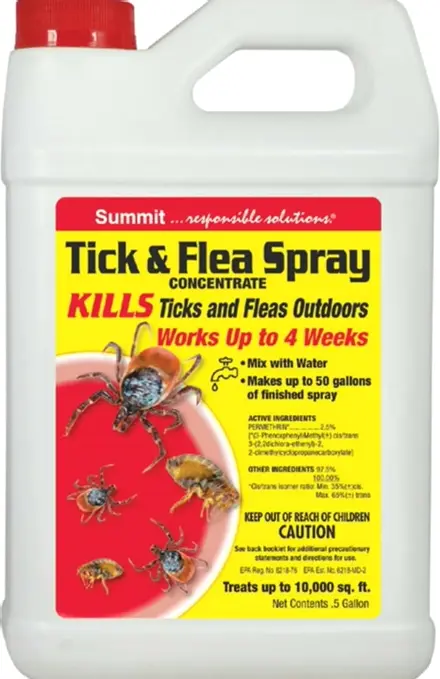 Flea & Tick