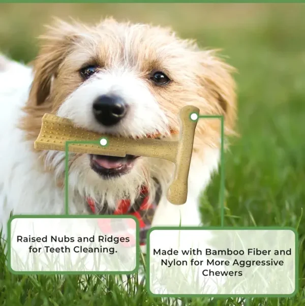 Long-Lasting Bam-Bones Chew for Heavy Dogs