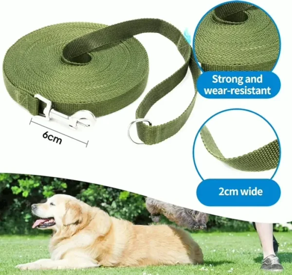 Sturdy Training Leash for Pets with Trainer