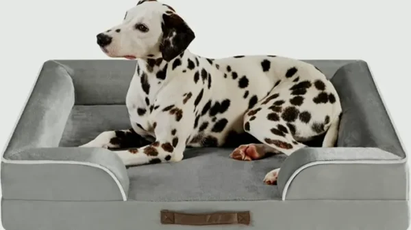 Comfortable Dog Bed for Large Dogs with Memory Foam