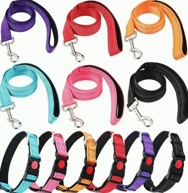 Reflective Dog Leash and Harness Combo for All Sizes