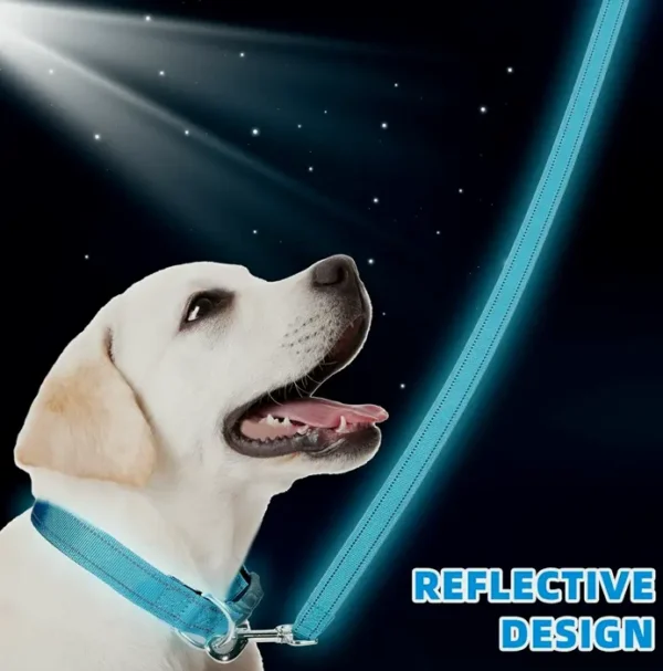 Reflective Dog Leash and Harness Combo for All Sizes