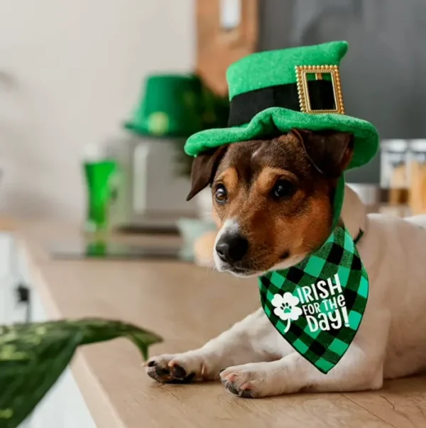 St. Patrick's Day Dog Neckwear - 2 Pack