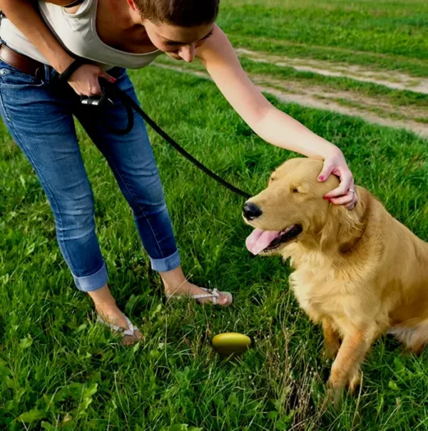 Simple Solution Pee Post Outdoor Potty Training Aid