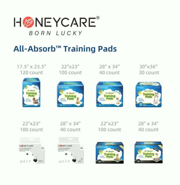 Honey-Care Absorbent, Compact Pads, 120 Pack