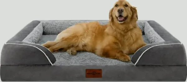 Durable Supportive Foam Dog Bed for XL Canines