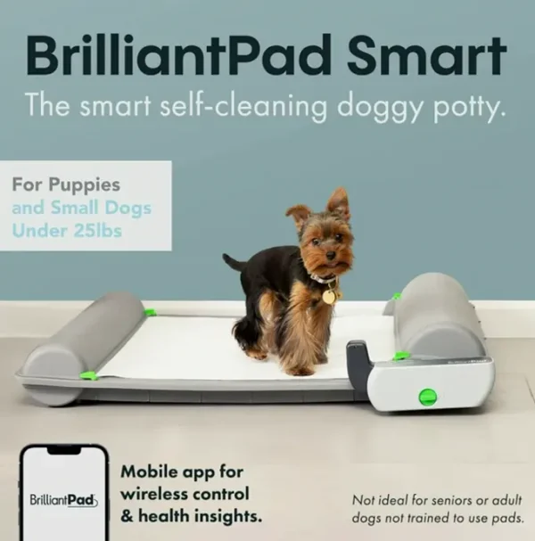 Smart Indoor Pet Loo for Tiny Dogs