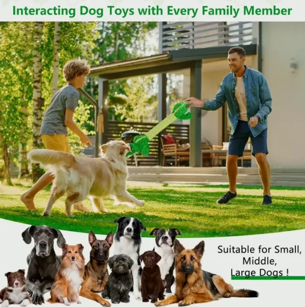 Large Noisy Dog Toys with Crunchy Material