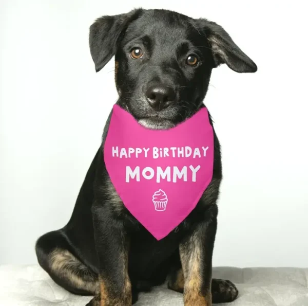 Joyful Bday Mommy Red Pet Scarf Accessories