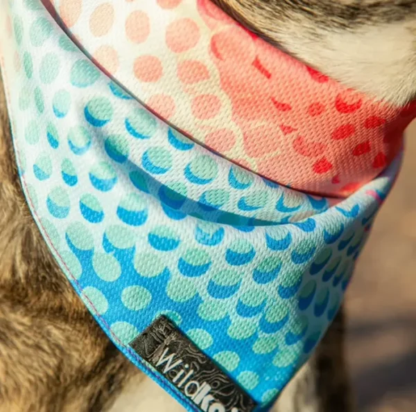 Dog Bandana with Featherlight Chilling Fabric for Hiking